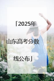2025年山东高考分数线公布