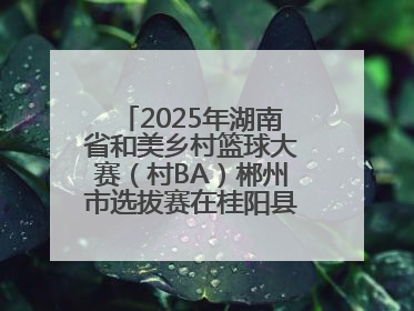 2025年湖南省和美乡村篮球大赛(村BA)郴州市选拔赛在桂阳县火热开赛