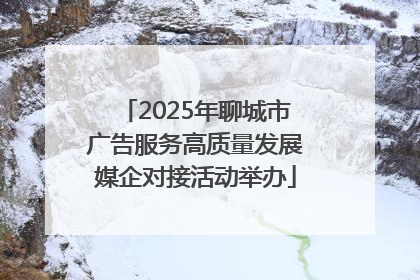 2025年聊城市广告服务高质量发展媒企对接活动举办