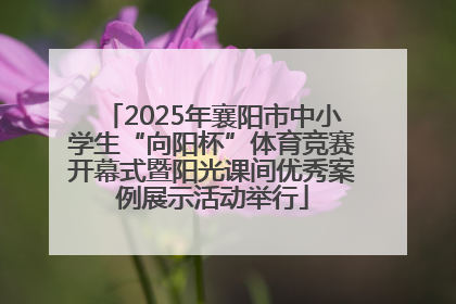 2025年襄阳市中小学生“向阳杯”体育竞赛开幕式暨阳光课间优秀案例展示活动举行