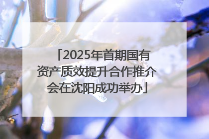 2025年首期国有资产质效提升合作推介会在沈阳成功举办