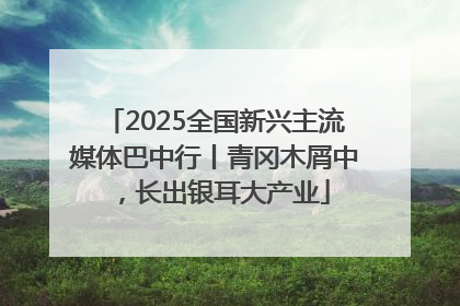 2025全国新兴主流媒体巴中行丨青冈木屑中，长出银耳大产业