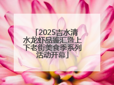 2025吉水清水龙虾品鉴汇暨上下老街美食季系列活动开幕