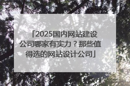 2025国内网站建设公司哪家有实力？那些值得选的网站设计公司