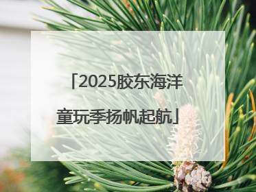 2025胶东海洋童玩季扬帆起航