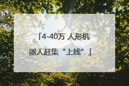 4-40万 人形机器人赶集“上线”