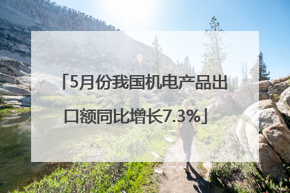 5月份我国机电产品出口额同比增长7.3%