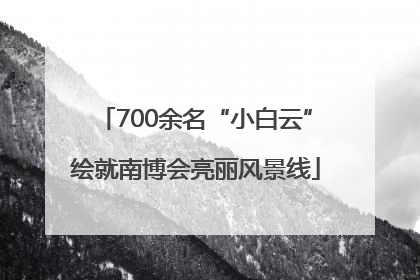 700余名“小白云”绘就南博会亮丽风景线