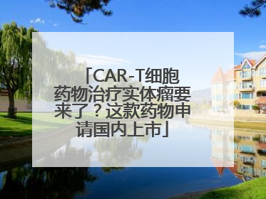 CAR-T细胞药物治疗实体瘤要来了？这款药物申请国内上市
