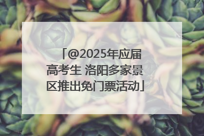 @2025年应届高考生 洛阳多家景区推出免门票活动