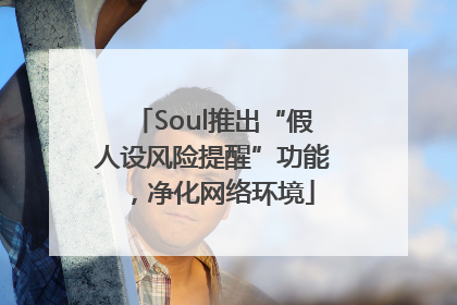 Soul推出“假人设风险提醒”功能，净化网络环境